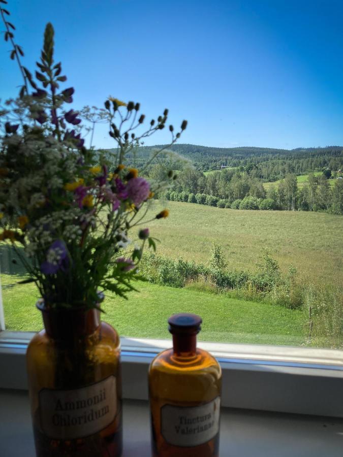 Stilleben Hotell Åmot Dış mekan fotoğraf